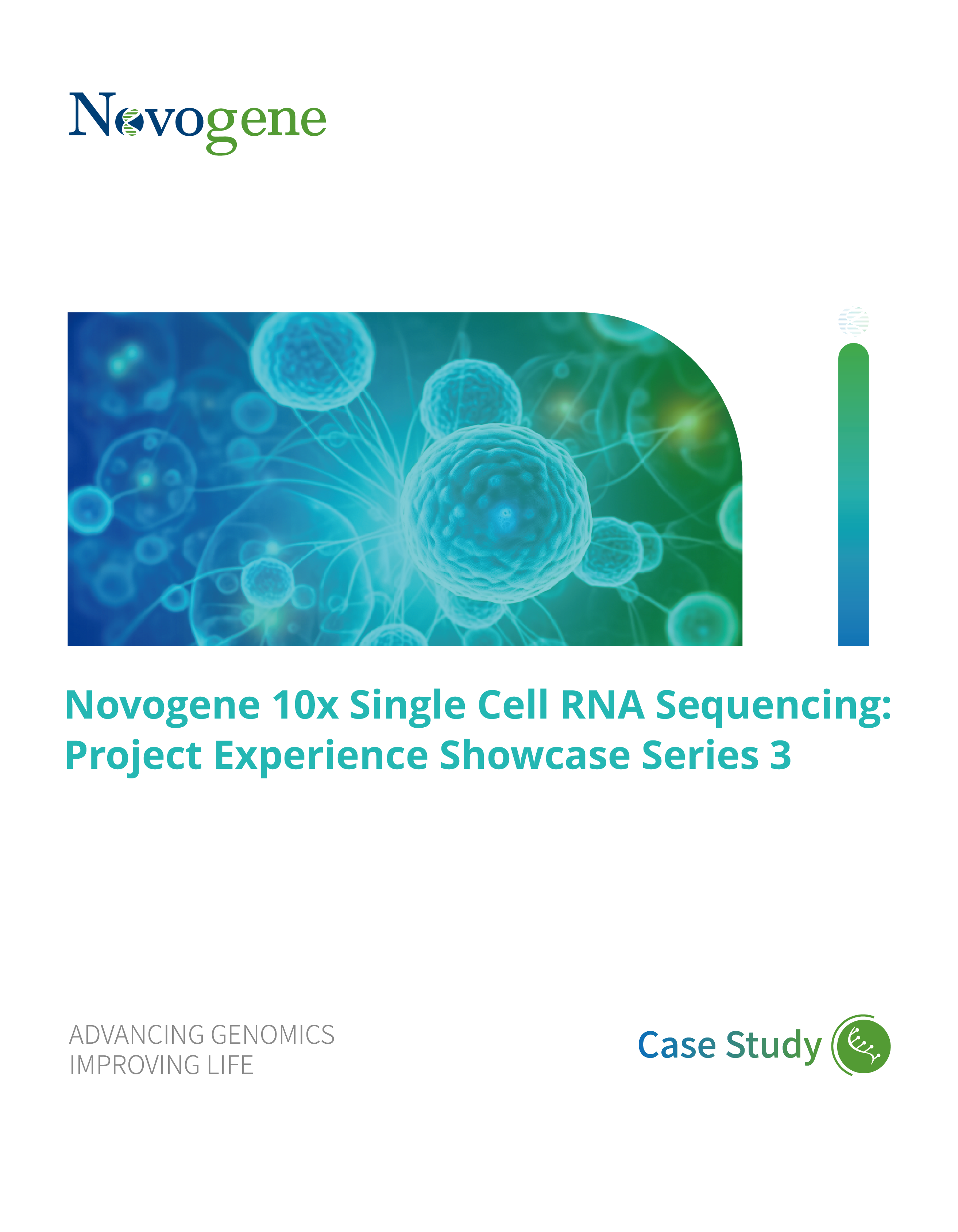 Novogene 10x Single Cell RNA Sequencing: Project Experience Showcase ...