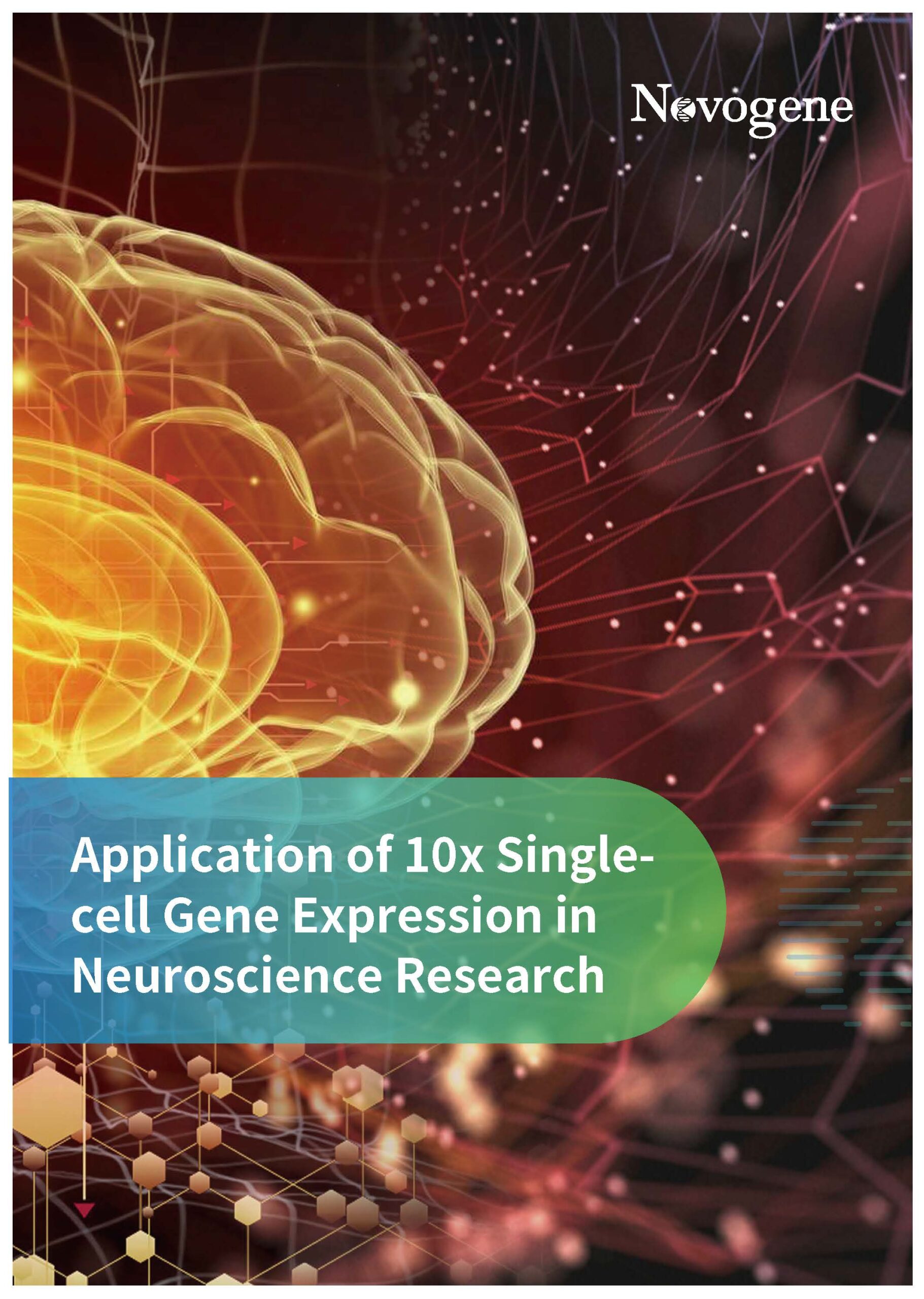 Novogene ebook: Application of 10x Single-cell Gene Expression in ...